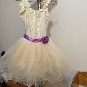 Ballet costume/ fairy costume